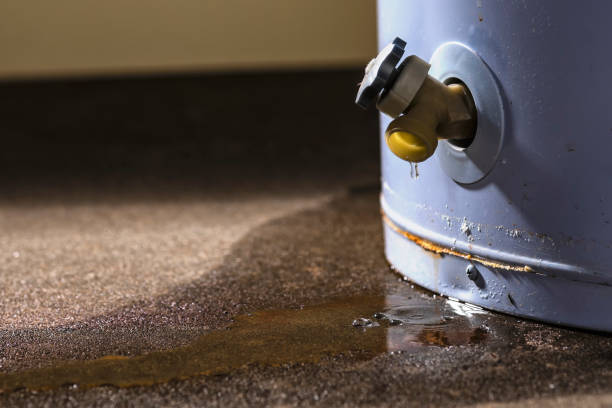  Bethel, AK Water damage restoration Pros