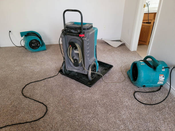 Best 24/7 water damage repair  in Bethel, AK