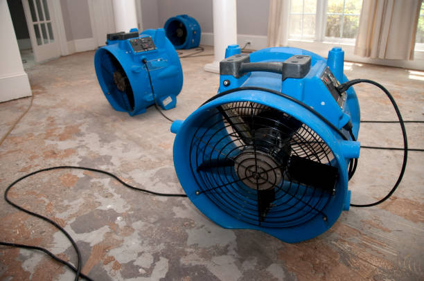 Bethel, AK Water damage restoration Company
