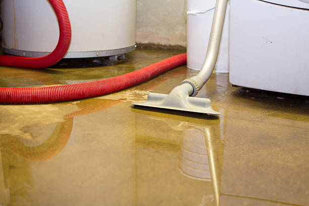 Best Fire Damage Restoration  in Bethel, AK