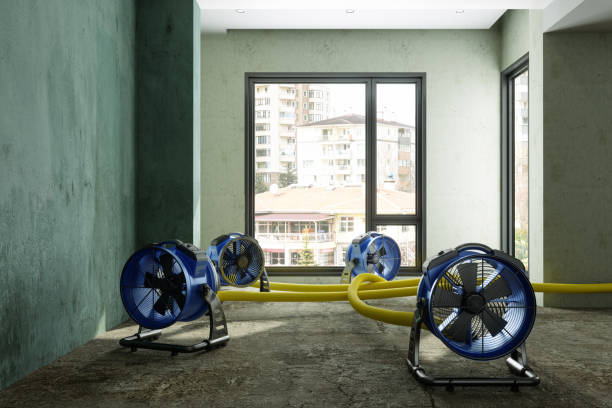 Best Commercial water damage restoration  in Bethel, AK